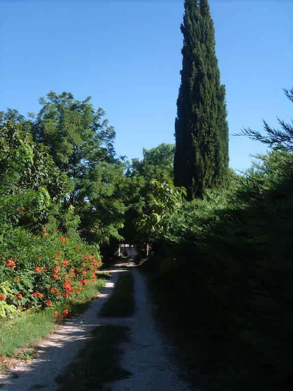 Le Clos Martin Apartment Eyragues Luaran gambar